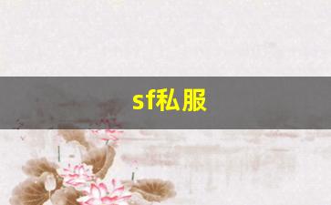 梦幻西游 私服：sf私服 (14)