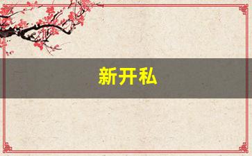 好梦幻西游网：新开私 (6)