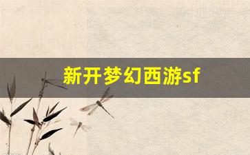 新开梦幻西游sf (7)