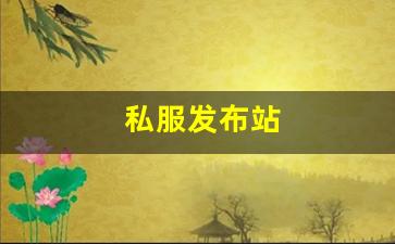 新开梦幻西游网站：私服发布站 (13)