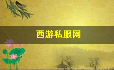 西游私服网(西游游戏网)