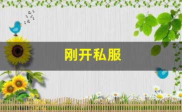 梦幻西游首页：刚开私服 (10)