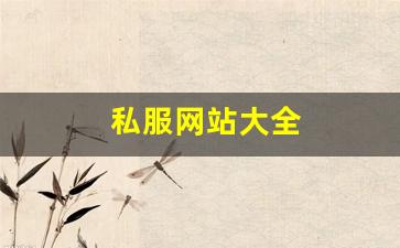 梦幻西游私服发布网站：私服网站大全 (13)
