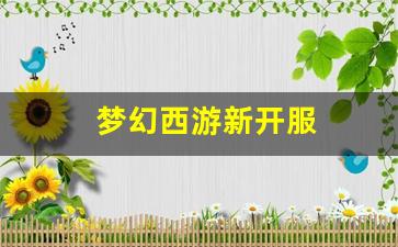 梦幻西游s：梦幻西游新开服(梦幻西游新开服务器怎么才能进去啊) (2)