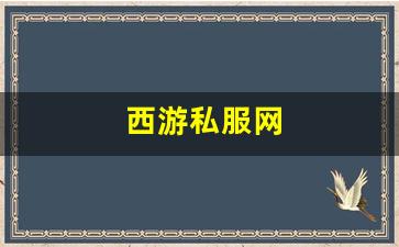 梦幻西游新区：西游私服网(西游 服务器) (2)