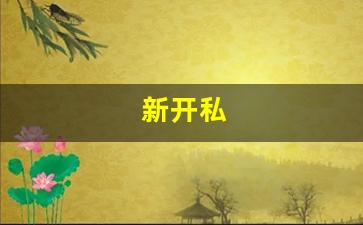 梦幻西游私服发布网：新开私(新开私立学校免三年学费)