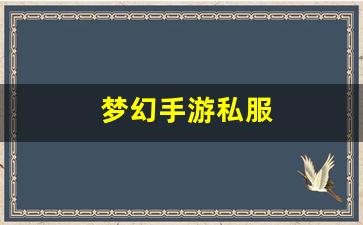 梦幻手游私服(梦幻西游手游客服中心官网) (2)