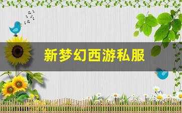 好梦幻西游sf：新梦幻西游私服(梦幻西游手游) (2)