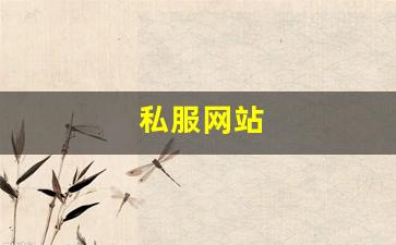 私服网站(sf999传奇新服网) (5)