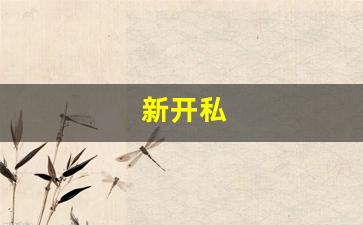 今日新开梦幻西游网站：新开私(新开私立学校免三年学费) (3)