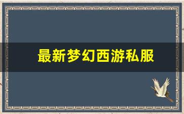 最新梦幻西游私服